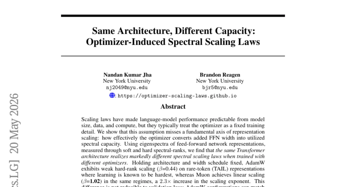 NYU, optimizer가 FFN spectral scaling에 미치는 영향 — AdamW 대비 Muon, rare-token 표현에서 2.3배 높은 scaling exponent