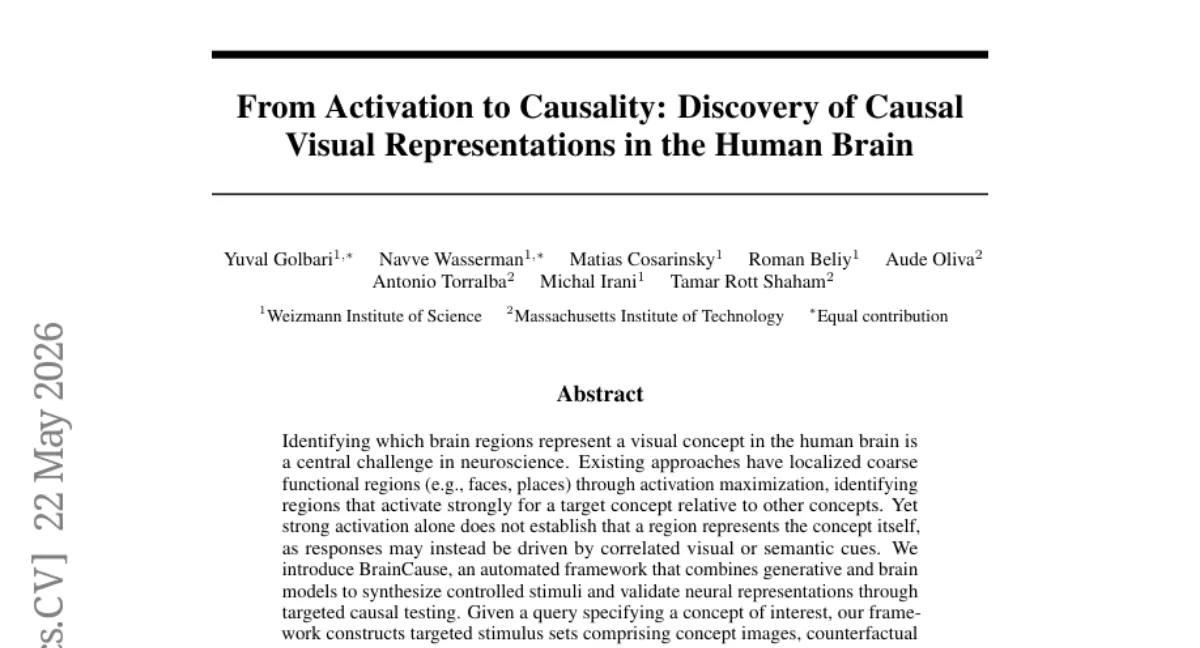 MIT, fMRI 데이터로 뇌 시각 표현 검증하는 BrainCause — 활성화만으로는 부족