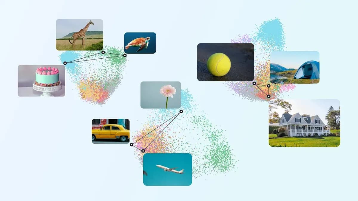 Google DeepMind, Nature 논문 발표 — AI 시각 표현을 인간 인식에 정렬