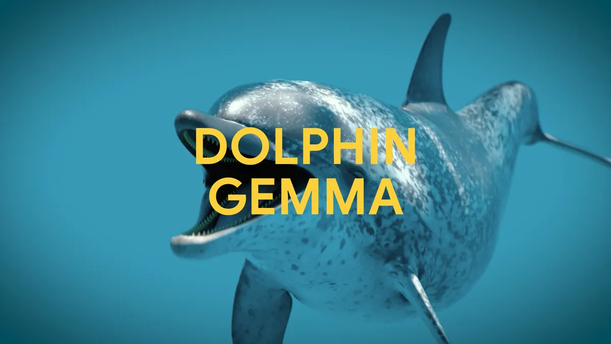 Google DeepMind, DolphinGemma 공개 — 돌고래 의사소통 패턴 학습 및 생성